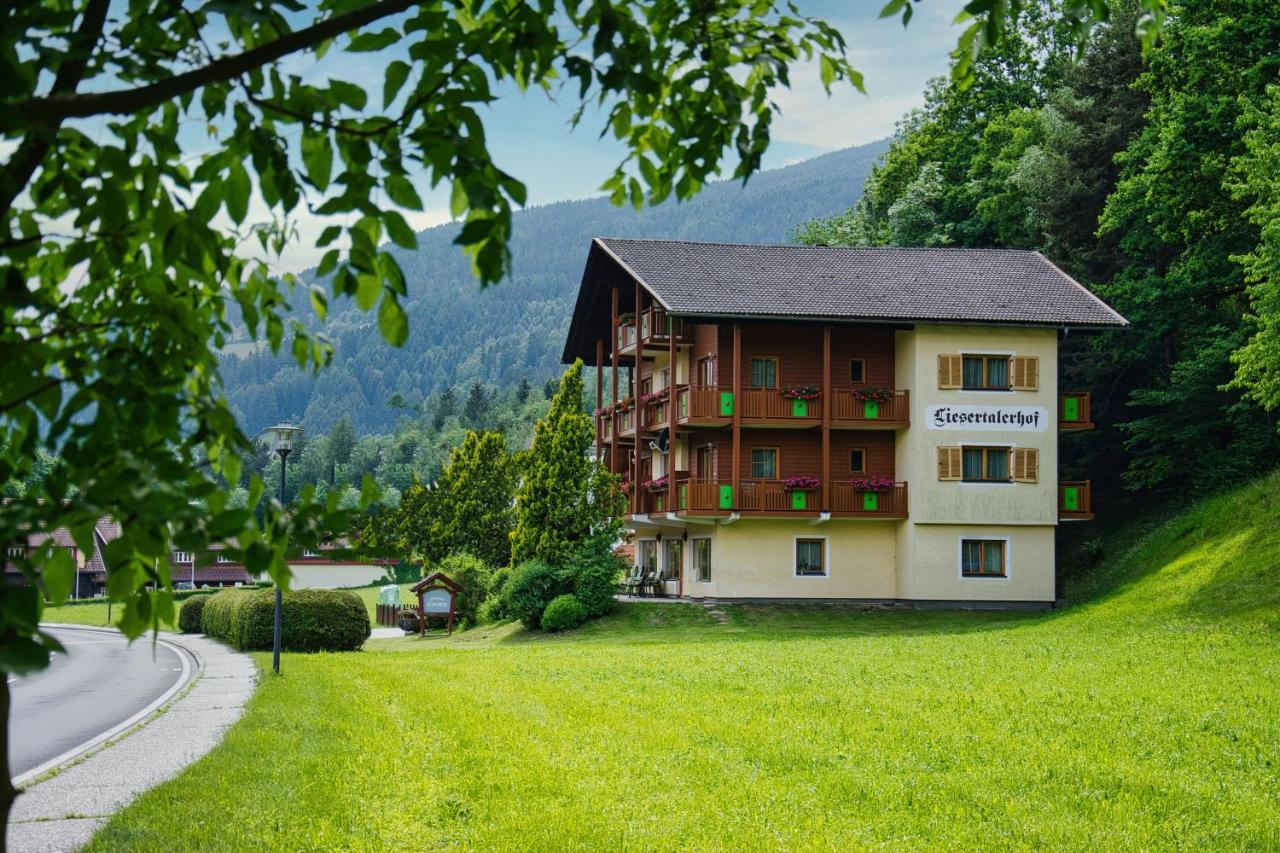 Pension Liesertalerhof Trebesing Exterior photo